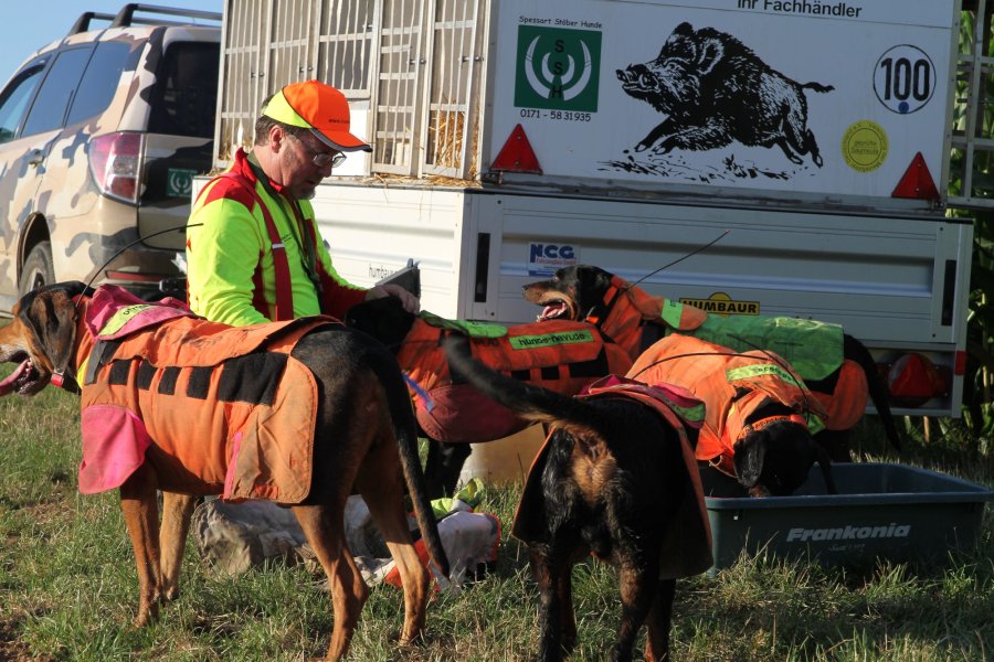 Sicherheit bei der Jagd ist oberstes Gebot auch für Ihren Jagdhund