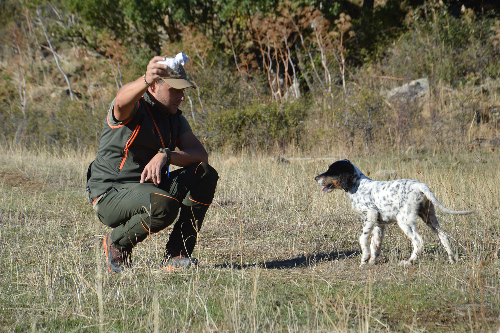 Addestramento Del Cane Da Ferma: Prime Fasi E Abitudine Allo Sparo