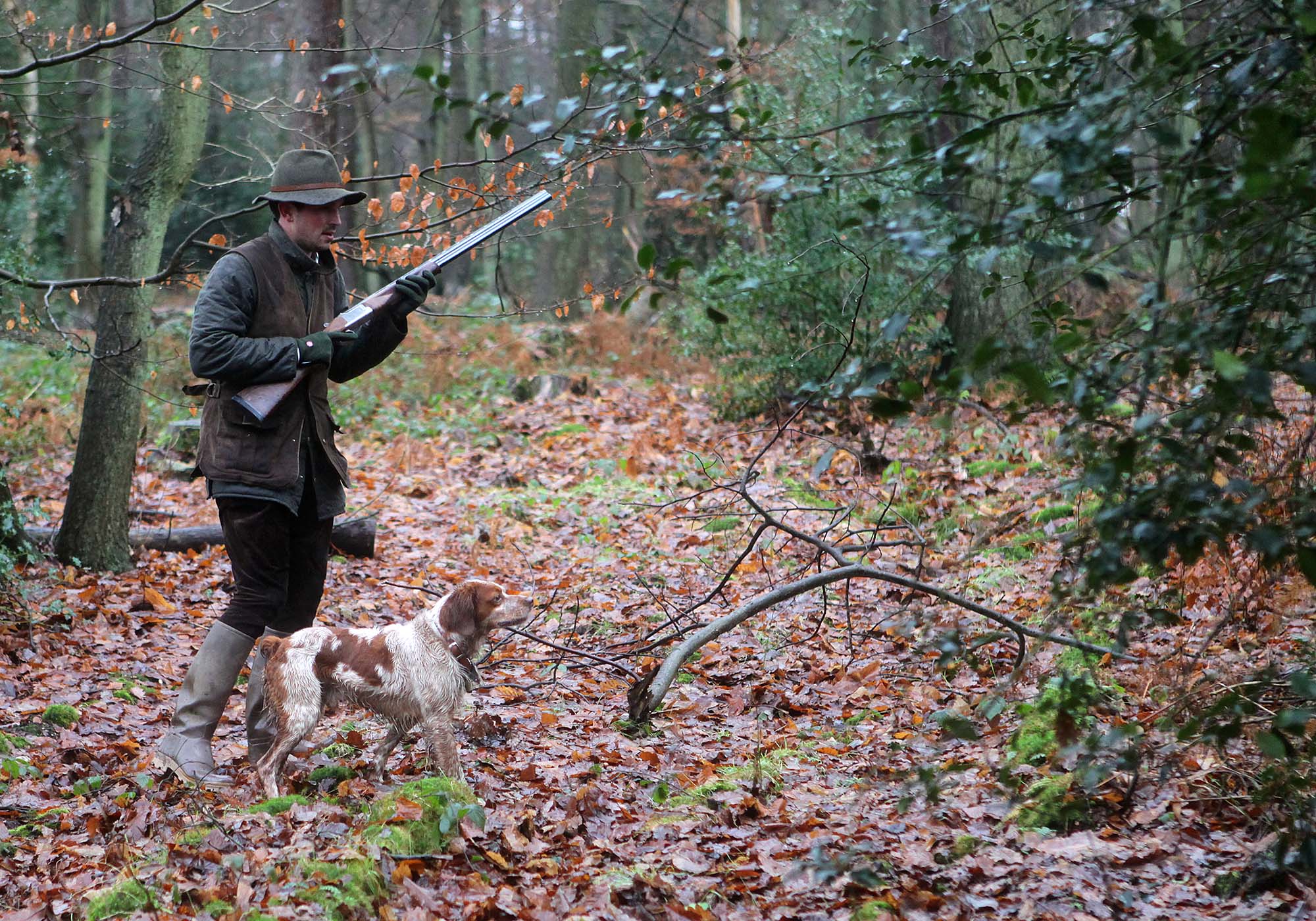 Cani Da Ferma: La Correttezza Al Frullo - All4hunters.com