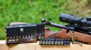 RWS Short Rifle - патроны и карабин