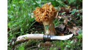 Нож Opinel №8 Mushroom и гриб
